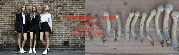 меф VHQ Тайга
