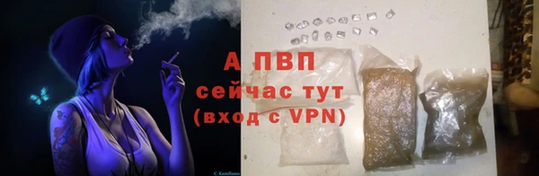 гидропоника Белокуриха