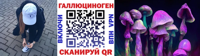 Псилоцибиновые грибы мицелий Курчалой